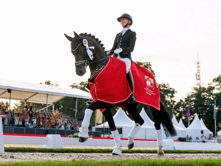 Design ohne Titel (32)